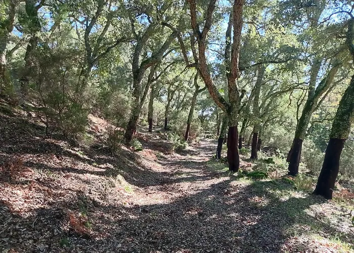 Apartamento Valle Del Guadiaro