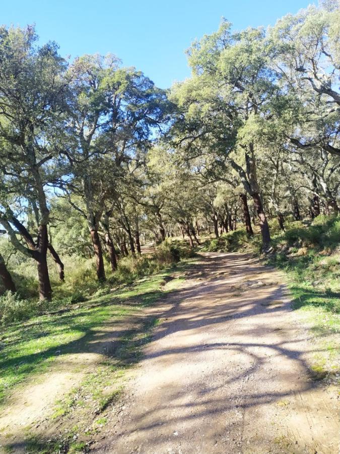 Valle Del Guadiaro Cortes de la Frontera