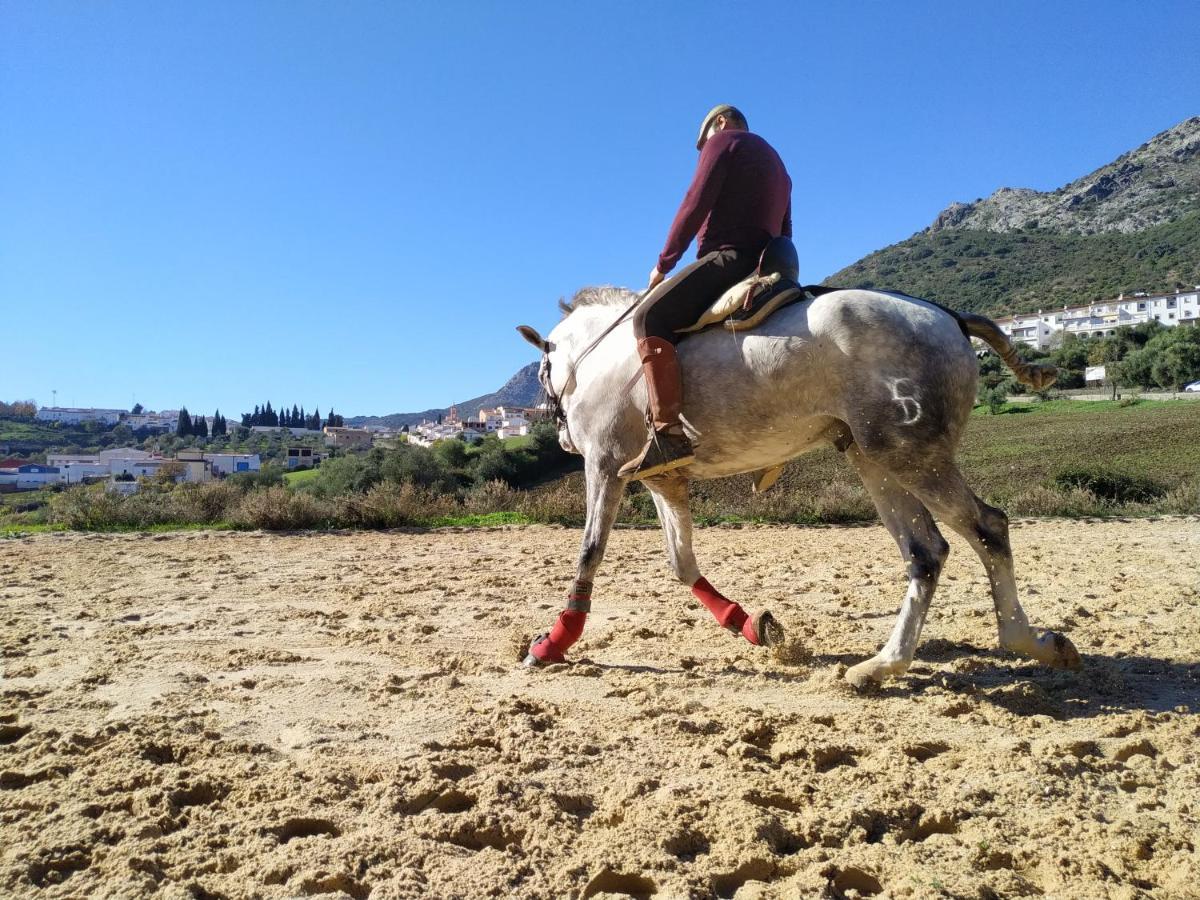 Valle Del Guadiaro * Cortes de la Frontera