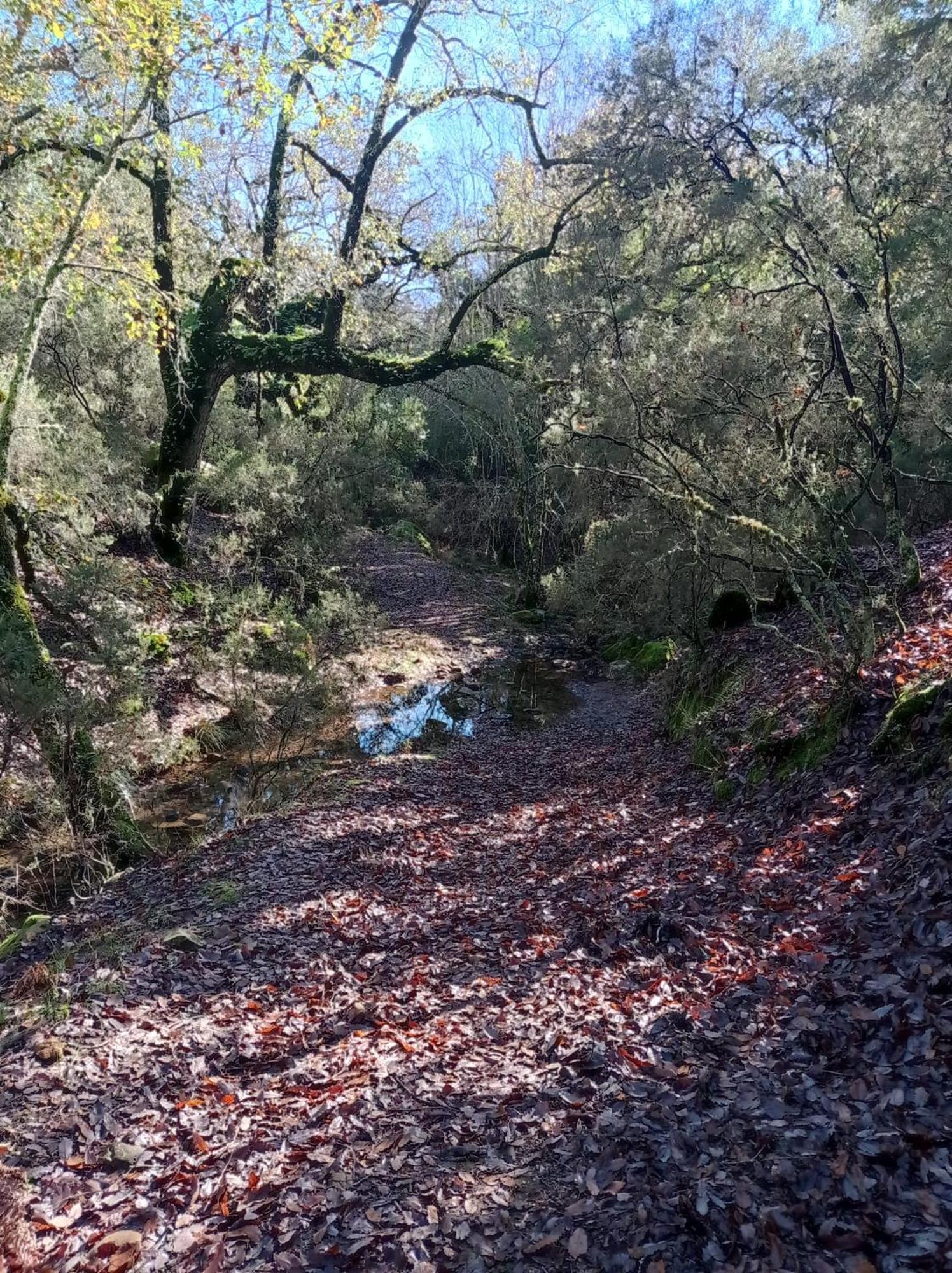 Valle Del Guadiaro