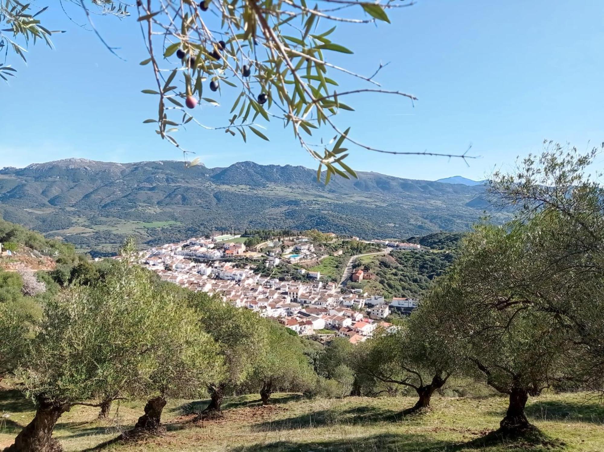 Apartment Valle Del Guadiaro Cortes de la Frontera